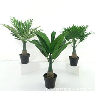 ���Sֱ�����W�L��������[�O����ֲ������辰 �Ž�����Gֲ����