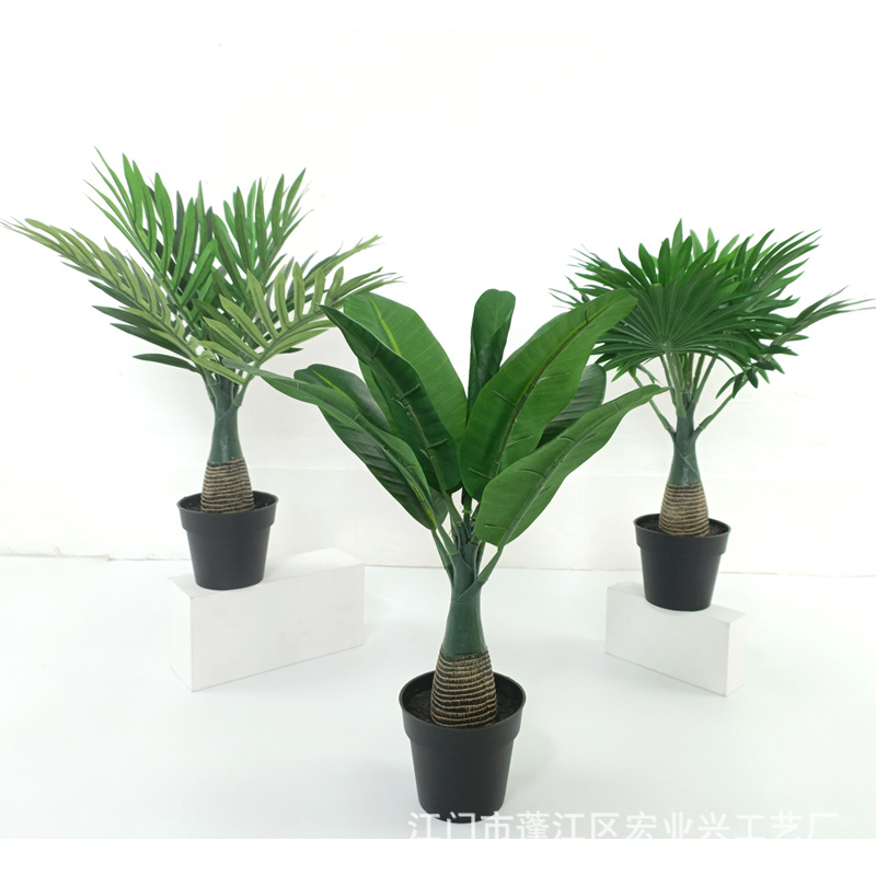 工厂直供北欧风桌面迷你摆设仿真植物葵树盆景 芭蕉仿真绿植盆栽