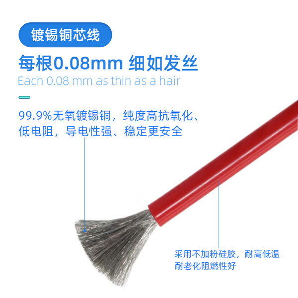 Silicone electronic lithium battery