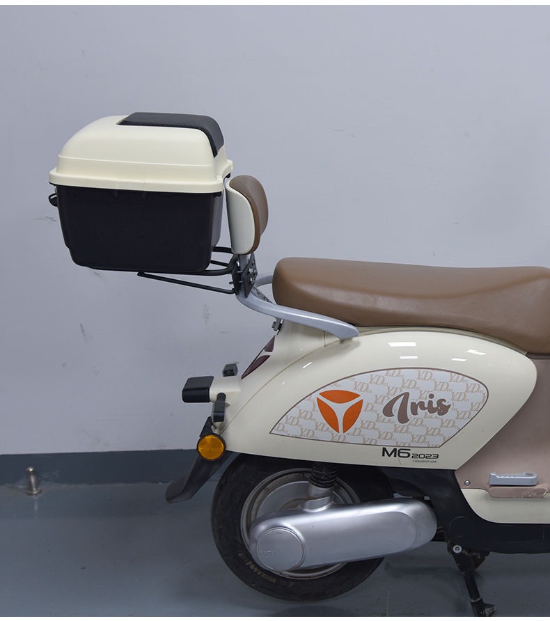 Universal Electric Vehicle Trunk Suitable for Yadea, Aima, Tailing, Luyuan Storage Battery Bicycle Rear Backrest Tail Box
