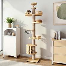 ����؈����ͨ����һ�w؈��؈�C���A؈ץ������������؈��؈����