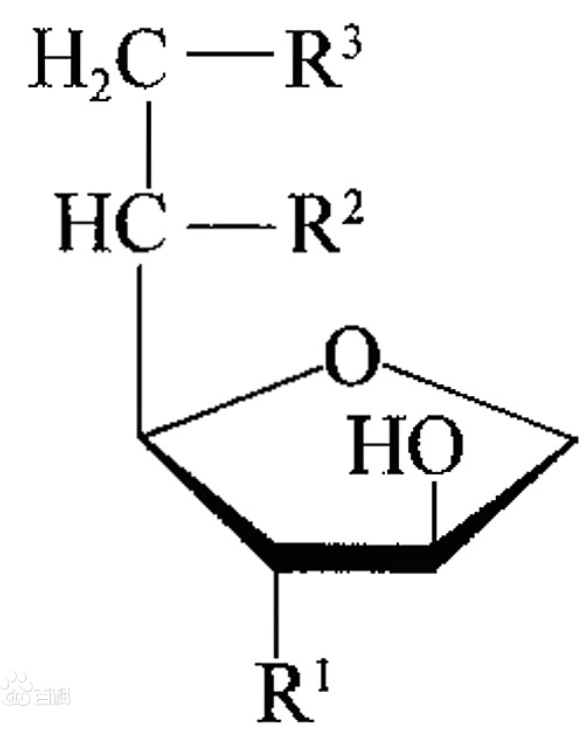 SPAN 85 ɽ��̹��������