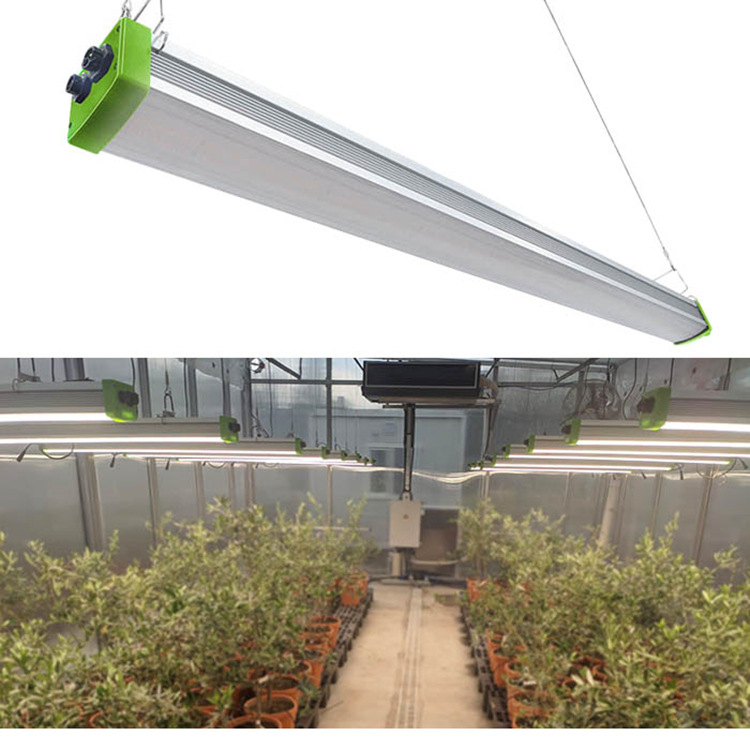 跨境新品190W全光谱组培育苗灯种子草莓补光灯水培植物生长灯