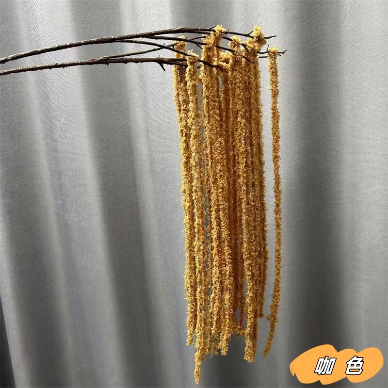 커피색
