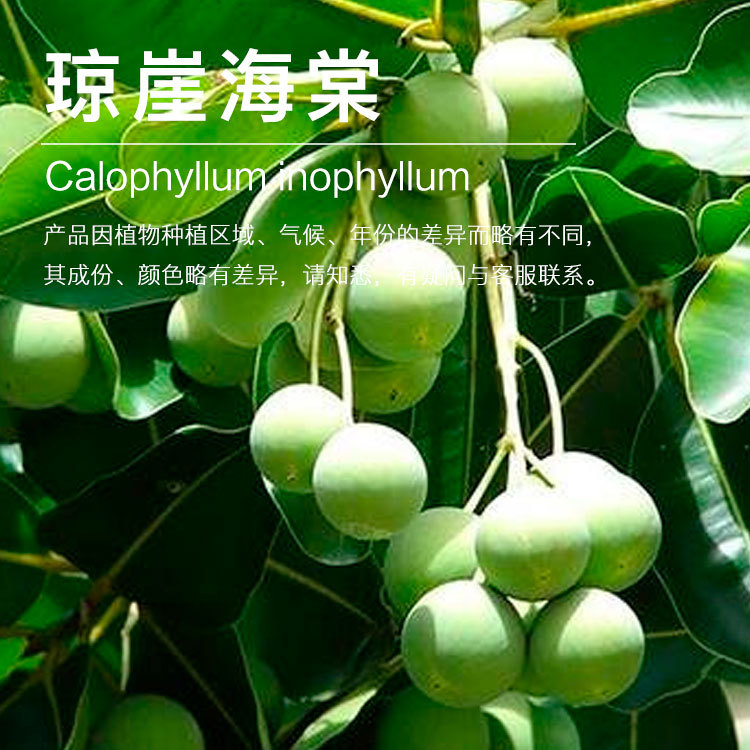 ���ҹ�Ӧ���º����� ��ѹ��ե  ������ԭ�ϳ�������  ��ӭ�ɹ�