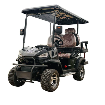 Fuel-Powered Golf Carts, Elektrikli qolf avtomobilləri