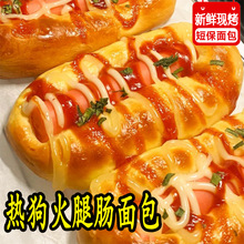 热狗火腿肠面包短保现烤香肠面包早餐代餐夹心糕点面包食整箱批发