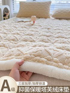 Class a Milk Velvet Mattress Thickeneded Student Dormitory Mattress Mat Winter Single Thin Cushion Soft Cushion Coral Velvet Quilt 3