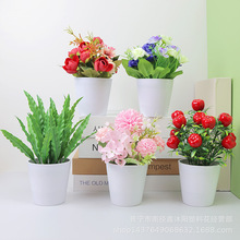 滨GֲС[҃ȼҾϼٻԿ͏db辰[O