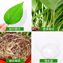 ��G�}���Ի������lˮ���L�پG�}�҃ȾGֲС�G�j����ȩС����