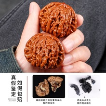 ���A������Ұ��������Ǫ{���^�ְѼ��P������y������ʿ�������