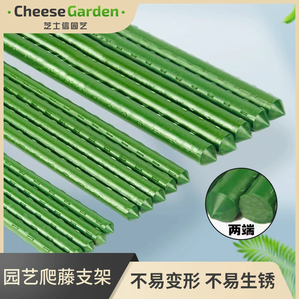 Зеленый стержень кронштейн фасоли огурец