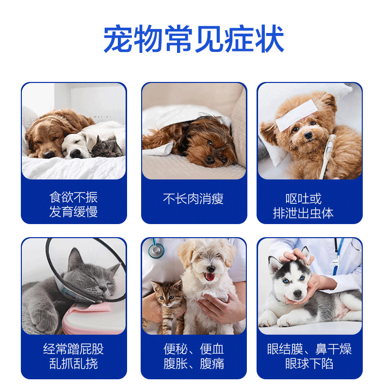 外贸犬瘟CDV犬细小CPV猫细小FPV试纸宠物检测试剂盒跨境爆品