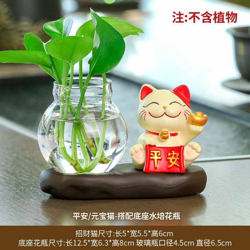 【평안】원보 고양이 + 수경 재배/녹색 식물 미포함