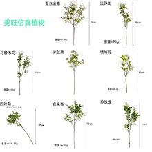 ���滨 ���W�L�Ҿ����ҿ͏d����[���b���ֲ��Gֲ������c