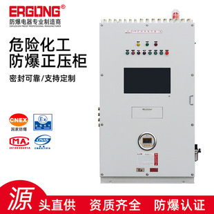 Water treatment explosion-proof power distribution cabinet positive pressure cabinet explosion-proof positive pressure cabinet explosion-proof keyboard operation explosion-proof control heat dissipation cabinet