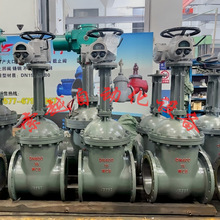 Z941H-16C DN250T늄ly 늄_P һw h̿