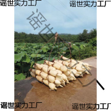 \ˮźNɏźNźˮźN ߮aʳɏźN źź1