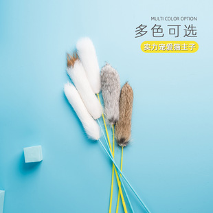 �S��ֱ����ë��؈�������������ҧ��ë�S��؈����ߌ�����Ʒ