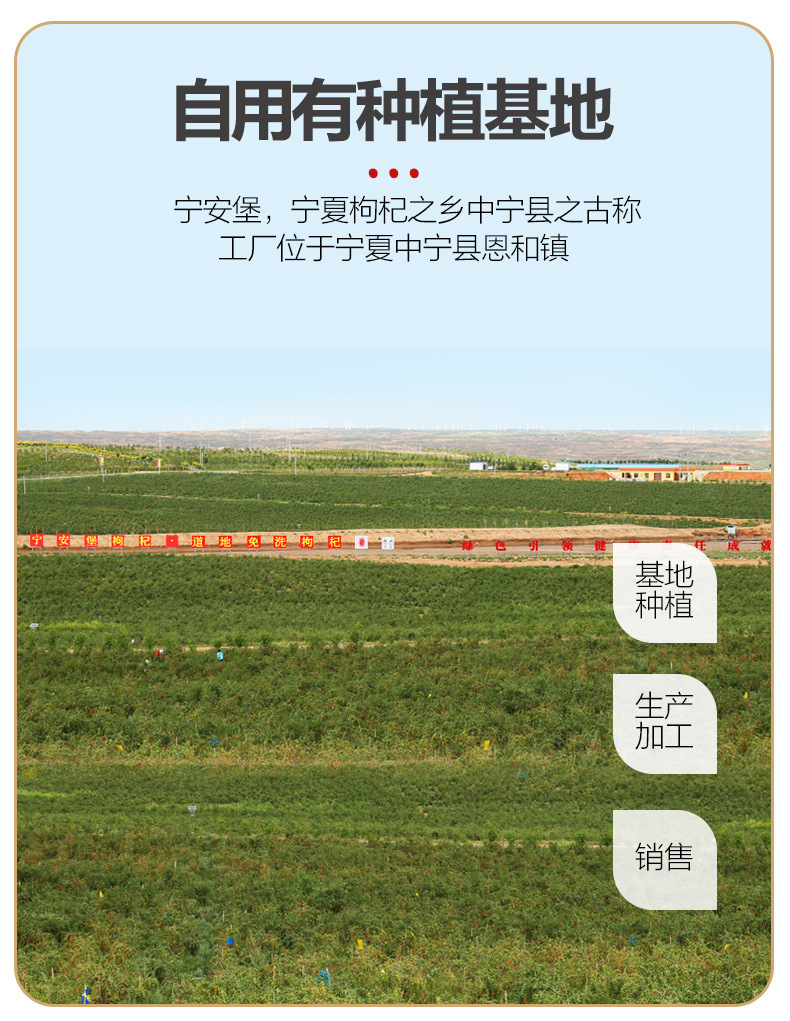 Ningxia Goji Berries Gou Qi Zi Premium Grade Dried Wolfberry 250g Bag Large Fruit quality and texture