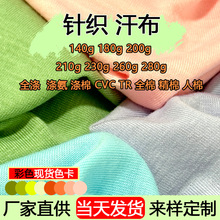 140-260g涤纶棉氨汗布跨境服装弹力t恤面料布料全涤汗布 针织面料