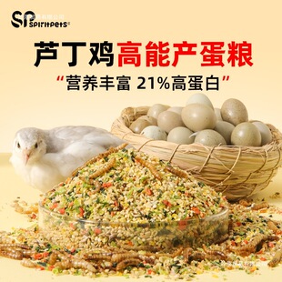 ᾳ��J���u�a������µ��Z�R���uС�u���u�_�����rʳ��Zʳ��