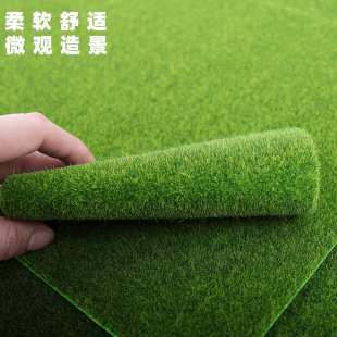 ��ֲ̦��ֲ�q̦�\�b�DIY�ֹ�΢���^�辰����������Bƿ�\�|�Gɫ