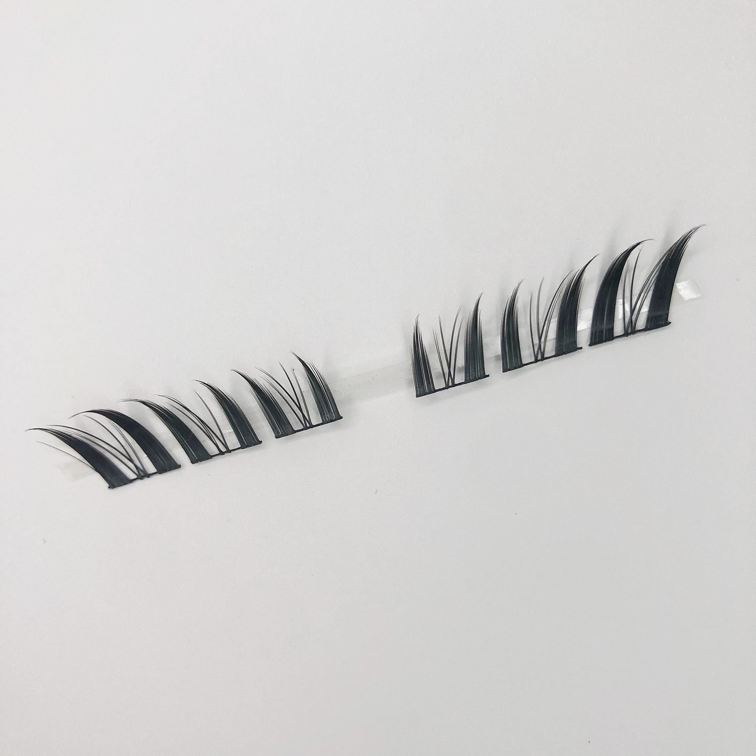 Zorro de nueve colas