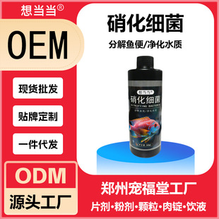Nitrifying Bacteria Fish Tank Special Water Purifier, Fish Farming Water Quality Stabilizer, Digestive and Decomposing Fish Waste Live Bacteria Liquid for Aquariums