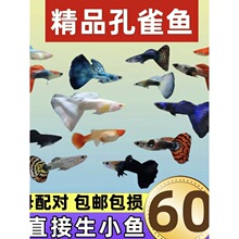 ���N��Ʒ��ȸ�~���R�~���w�^�p�~�Ꭷ�~С�͵�ˮ�~����B�ͻ��Pβ