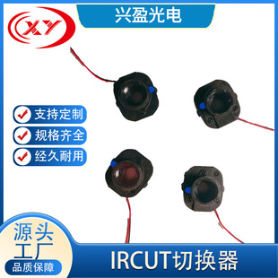 ���a؈�۔z��CIRCUT�ГQ�� ��ҕ�T⏌����ГQ���R�[С�E�A�����i