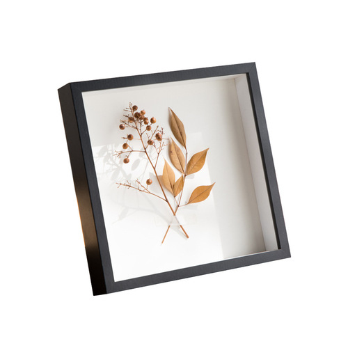 Dry Flower Frame Wholesale Handmade DIY 3D Hollow Specimen Frame 8-inch 7-inch Insect Clay Model Display Picture Frame
