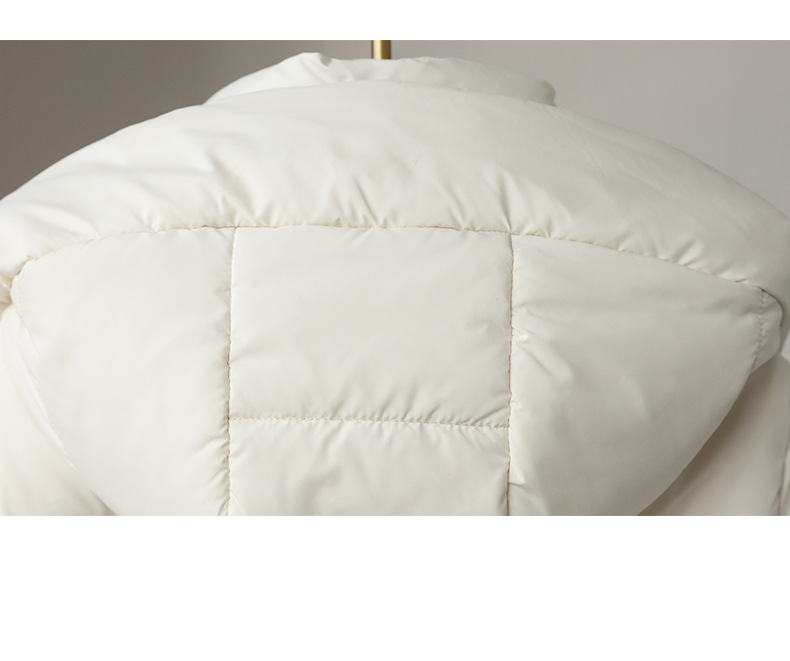 Women's Clothing Down jacket for women winter 2024 new high end Pinghu white duck down long white duck down warm women's clothing wholesale_voghion.com