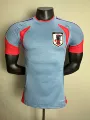 25-26 japan away game