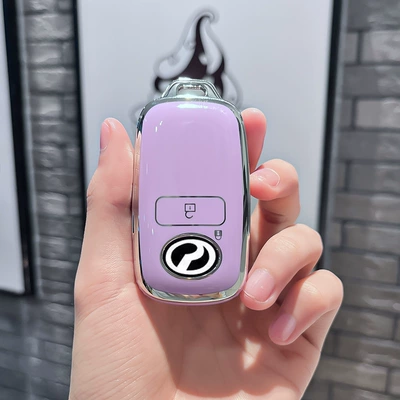 Car key bag | Men and Women - beilu-model-b-smart-2-button-single-shell-purple-silver-number-plate