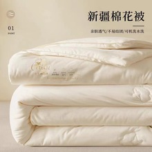 冬季新疆棉花被春秋被棉被垫被学生宿舍加厚保暖被子棉絮被芯被褥