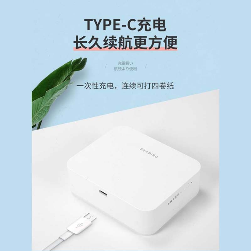 Seabird Handheld small printer, 12A, Bluetooth