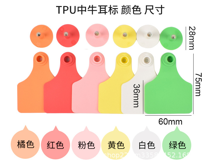 TPU牛详情_07.jpg