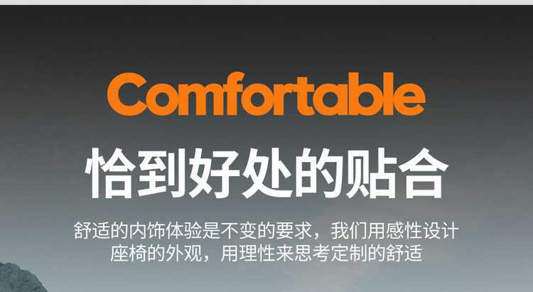 2026 Volkswagen Sagitar L 300TSI Fashion Model Special Full-Coverage Seat Covers Four-Season Car Seat Cushions