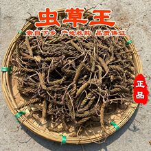 �����x�����������������������m������x�����a��؛Դ���