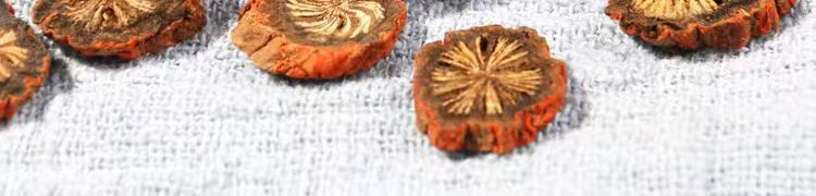 Purple Dan Shen Root Slices Zi Dan Shen Salvia miltiorrhiza Dried Sichuan Herb 500g for Decoction and Grinding quality and texture