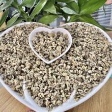 2026年新茶广西横县茉莉花茶浓香型玉螺 白玉螺 源头散茶厂家批发
