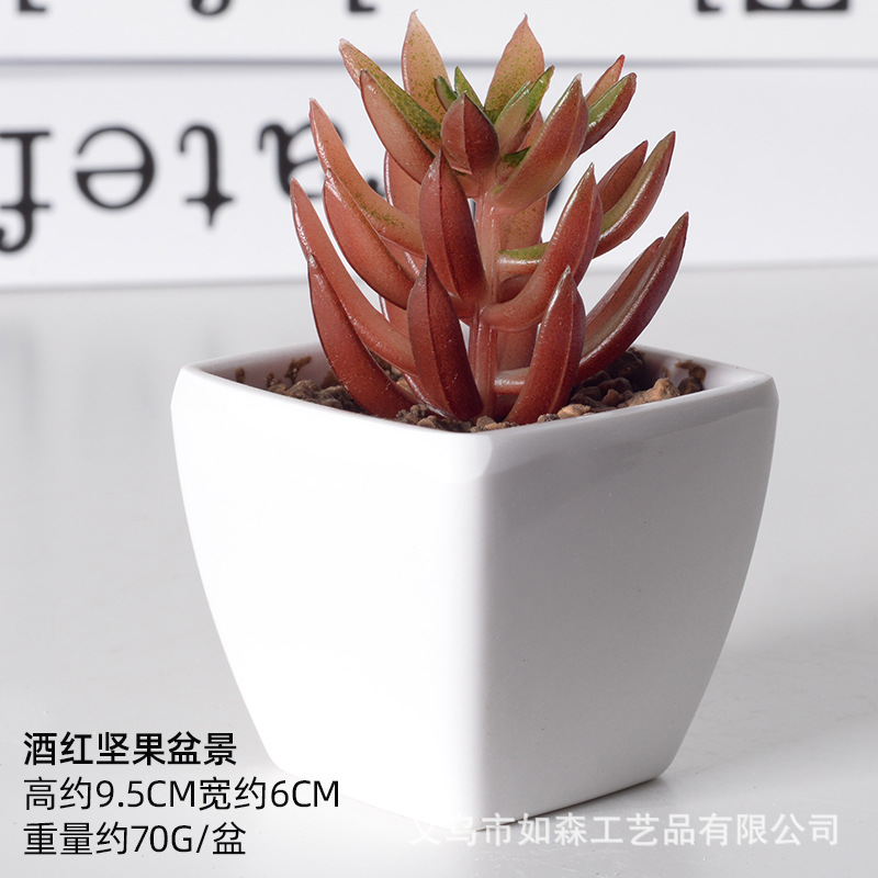 Simulación de plástico carnoso bonsai flor falsa combinación oficina interior escritorio plantas verdes pequeños adornos plantas artificiales al por mayor image 26