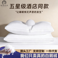 ��q���^95�Z�q��о��đ���Ǽ��Ƶ���Zë��ë�����q���w��ϣ���D