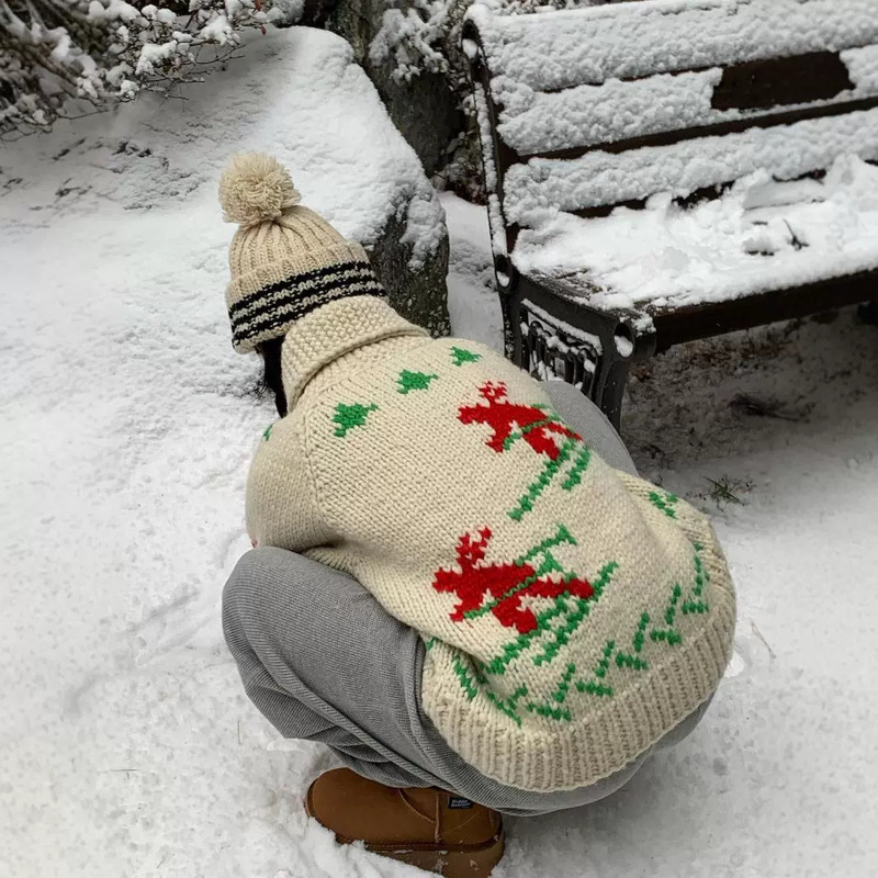 Korean Urb*Nic30 Designer's Same Style Christmas and New Year Reindeer Knit Jacket Zip-Up Sweater Cardigan Autumn 26