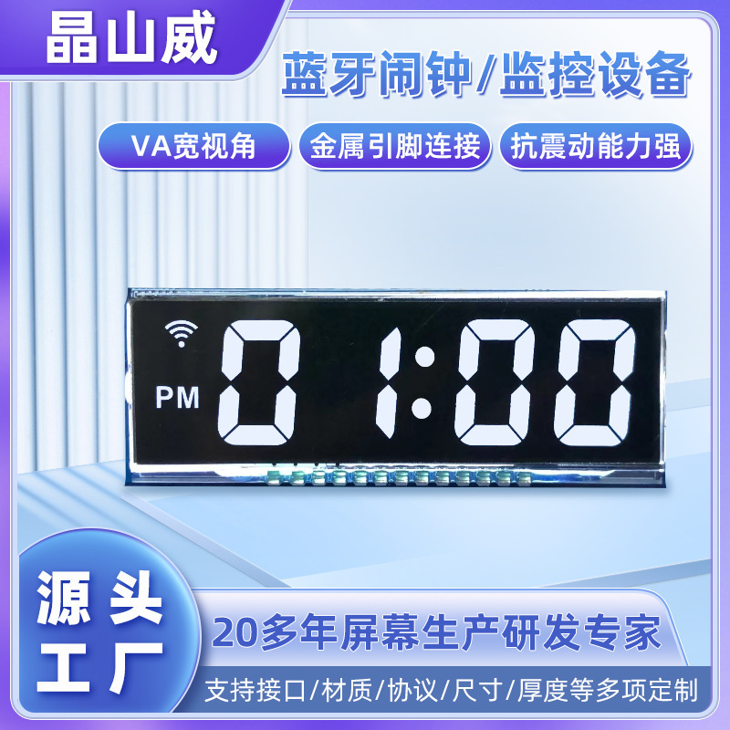 Low-Speed Vehicle Display Screen Segment Code Tnlcd Black and White Screen Bluetooth Alarm Clock Monitoring Equipment Va Broken Code Screen Low Power Consumption