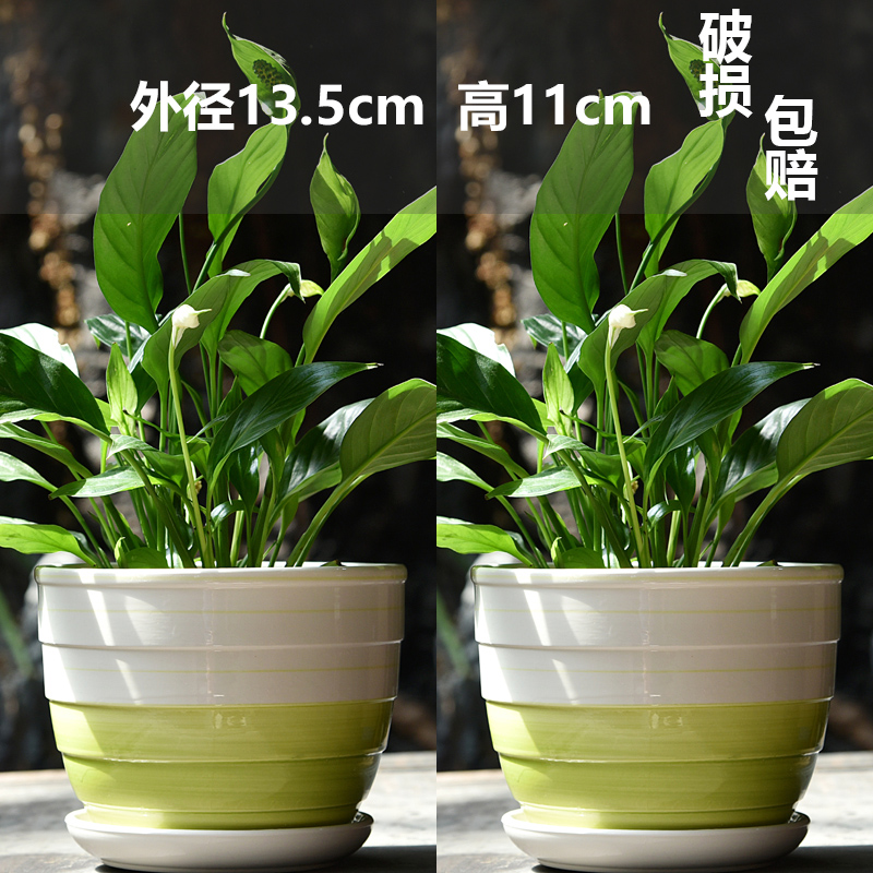 세라믹 - 여름 내내 시원한 중형 2개 - 대형