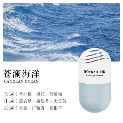New car air freshener capsule, long-lasting car fragrance, solid car air freshener, odor eliminator (Car Perfume Aromatherapy) - white-tea