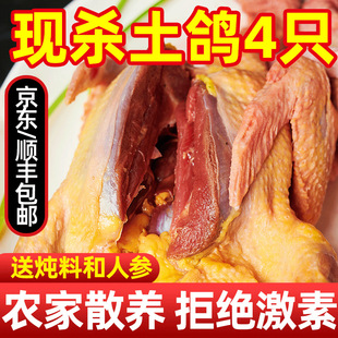 �������r�F���������r�����������������������ӟ����r��������4