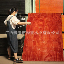 ���̽��Bģ���ȩ�z�ϼt������ɳ��ڸ����D�ߴ�915*1830mm������